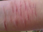 Антоніна Іванцова фотография #18 (источник - https://vk.com/id66150169)