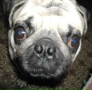 Фотография Марченко Александра