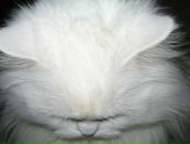 Марина Малєй фотография #37 (источник - https://vk.com/id3538598)