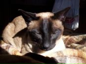 Фотография Святко Катерины