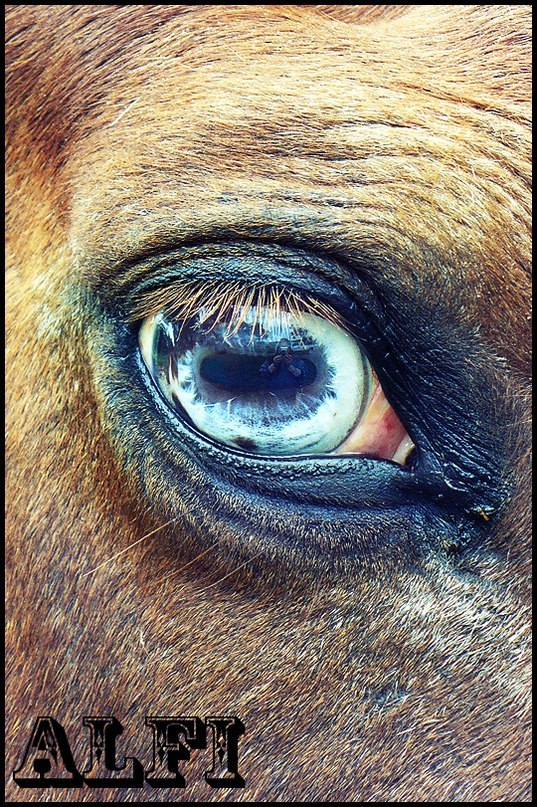 Слава Лебедев фотография #32