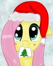 Flutter Shy фотография #47 (источник - https://vk.com/id161207668)
