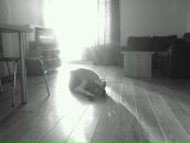 Фотография Зажицки Инги