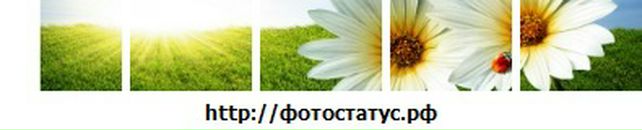 Ліна Болібрух фотография #38 (источник - https://vk.com/id64600387)