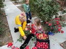 Анюсик Ангелочек:) фотография #7 (источник - https://vk.com/id155050163)