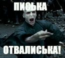 Фотография Алексей Жуков