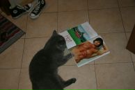 Фотография Чувикова Николая