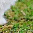 Вєталь Серйозний фотография #34 (источник - https://vk.com/id136859700)