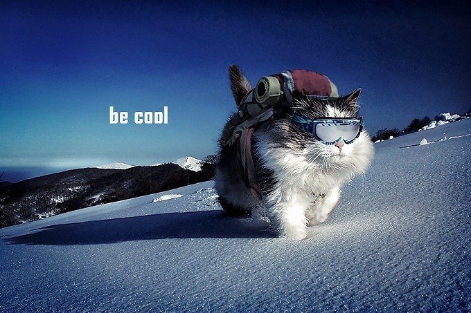 Антон Кощеев фотография #11