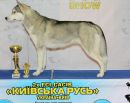 Фотография Александр Зоричев