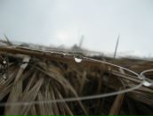 Фотография Иванько Андрея