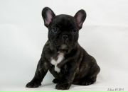 Фотография Шаровой Танечки