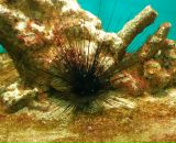 Фотография Петровой Ирины