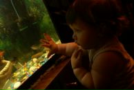 Фотография Derkach Dima