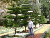 Фотография Бочаровой Светланы