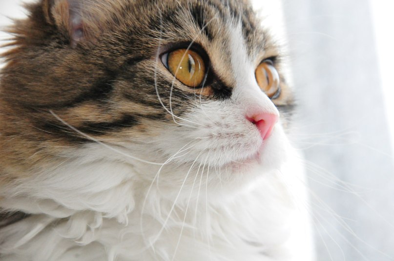 Антон Салянский фотография #45