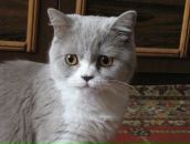 Фотография Григорьевой Юлии