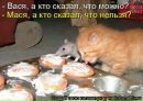 Вадім Горщарук фотография #27 (источник - https://vk.com/id152301792)