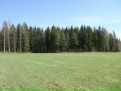 Иван Амельченко фотография #27 (источник - https://vk.com/id684343)