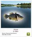 Юра Кінаш фотография #19 (источник - https://vk.com/id73212271)