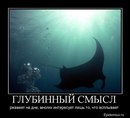 Сніжана Ульянченко фотография #27 (источник - https://vk.com/id126320262)