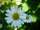 Фотография Салмановой Анны