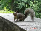 Фотография Кучиновой Эркелей
