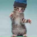 Діма Губенко фотография #46 (источник - https://vk.com/id83840813)