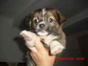 Іра Романюк фотография #25 (источник - https://vk.com/id53294041)