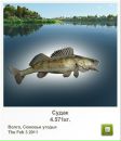 Иван Белов фотография #33 (источник - https://vk.com/id2389448)