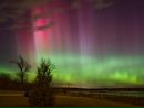 Фотография Евпловой-Кареловой Нины