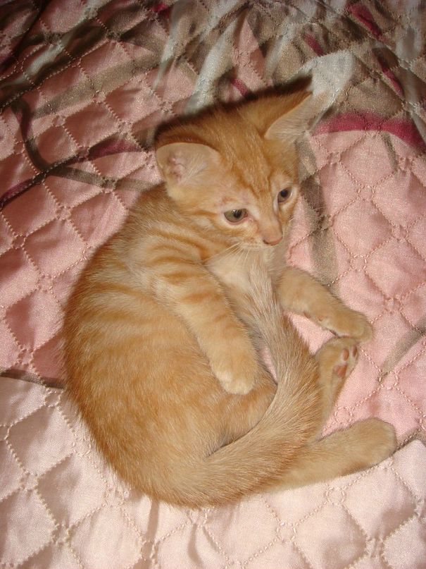 Оля Хапцова фотография #17