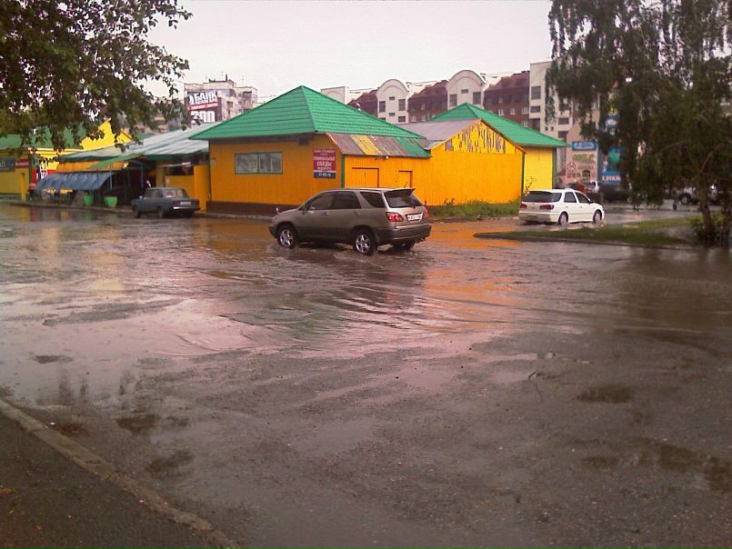 Дмитрий Че) фото №3