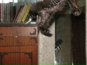 Фотография Ягупова Владимира