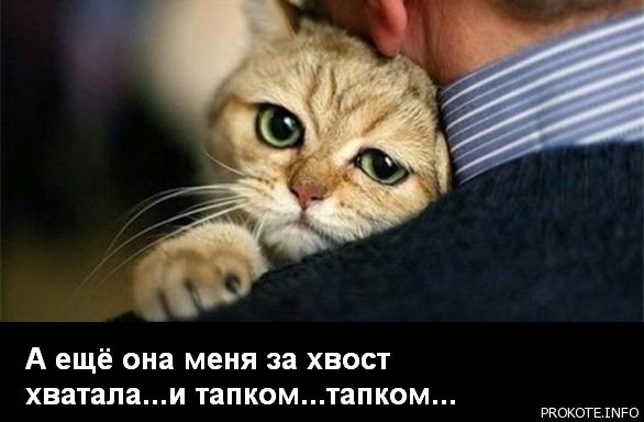 №10, Виктор Страданченков, 45 лет, Новочеркасск №10, Виктор Страданченков, 45 лет, Новочеркасск