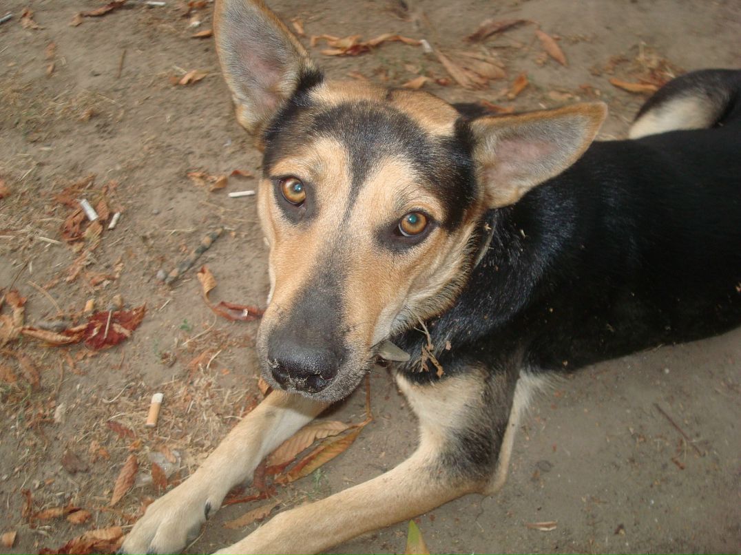 Иван Горбачев фотография #22