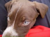 Іван Алмаші фотография #31 (источник - https://vk.com/id89643469)