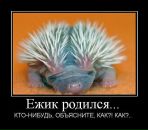 Антон Щепетков фотография #22 (источник - https://vk.com/id3977365)