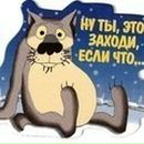 Фотография Шевчука Дмитрия