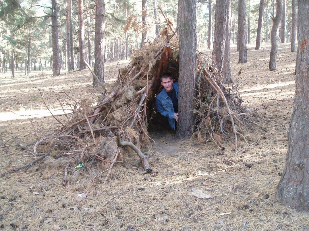 Владимир Дмитриев фотография #28