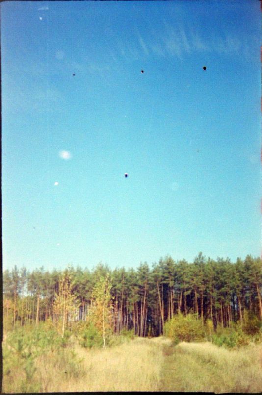 Саша Тарасенко фотография #18