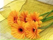 Фотография Ткач Татьяны