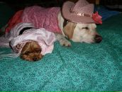 Фотография Дружиной Екатерины