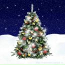 Фотография Демьяновой Златы