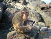 Фотография Криванковой Екатерины