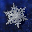 Фотография Бессмертной Екатерины