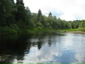 Фотография Софронова Дениса