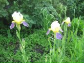 Фотография Харчук Надежды