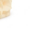 Сірожа Стицюк фотография #39 (источник - https://vk.com/id133380888)