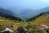 Дмитрий Серов фотография #10 (источник - https://vk.com/id41924820)